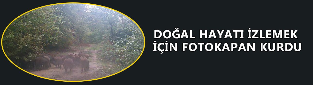 “İNSANIN DOĞAYA VERDİĞİ ZARARI BAŞKA HİÇ KİMSE VEREMEZ"