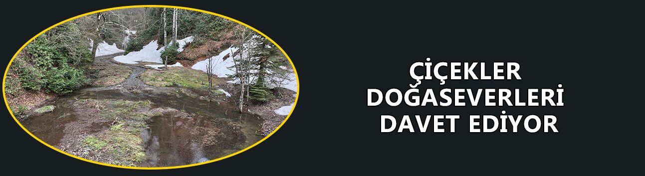 ÇİÇEKLER DOĞASEVERLERİ DAVET EDİYOR
