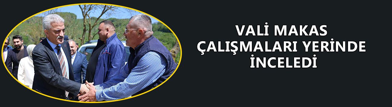 VALİ MAKAS ÇALIŞMALARI YERİNDE İNCELEDİ
