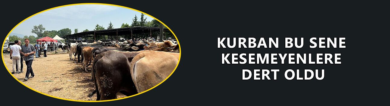 KURBAN BU SENE KESEMEYENLERE DERT OLDU