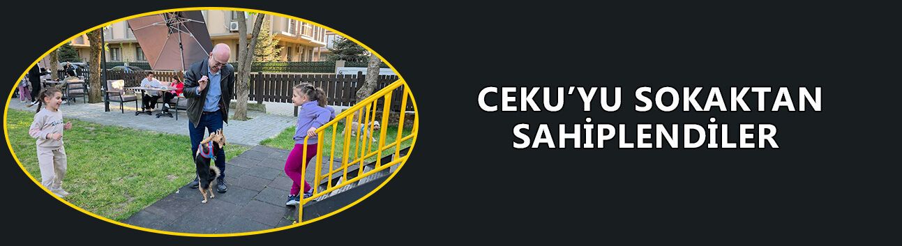 “EVİMİZİN ÇOCUĞU GİBİ OLDU”