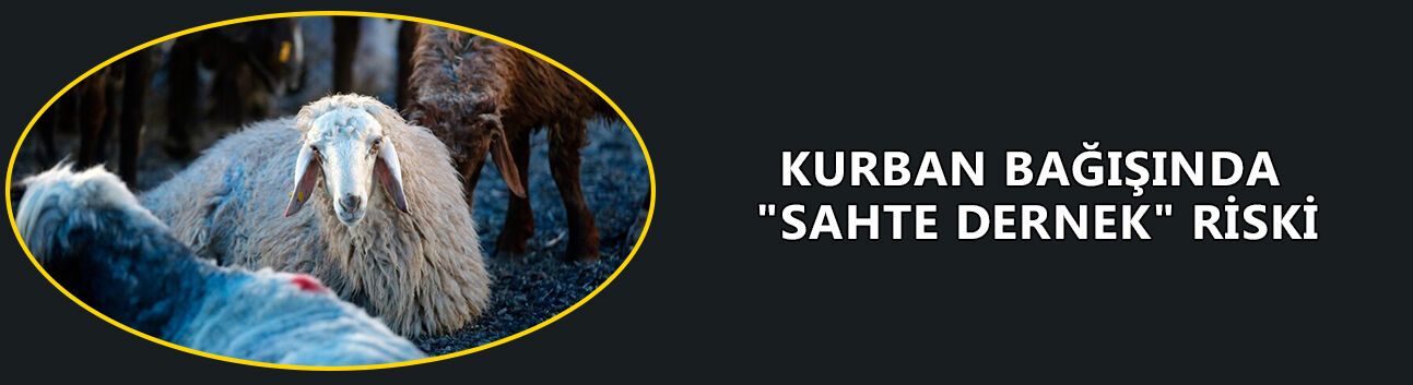 İNTERNET ORTAMINDAKİ SAHTE SİTELERE DİKKAT!