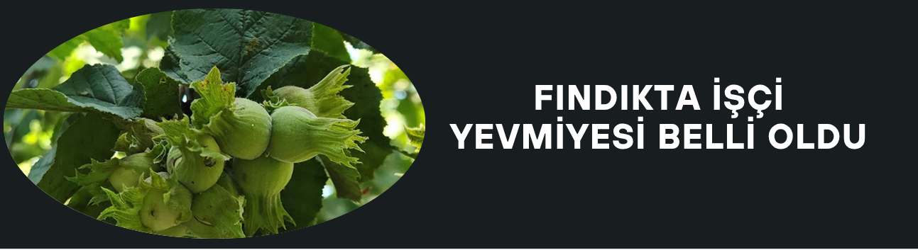 FINDIK HASADI ÖNCESİ YEVMİYE PROTOKOLÜ İMZALANDI