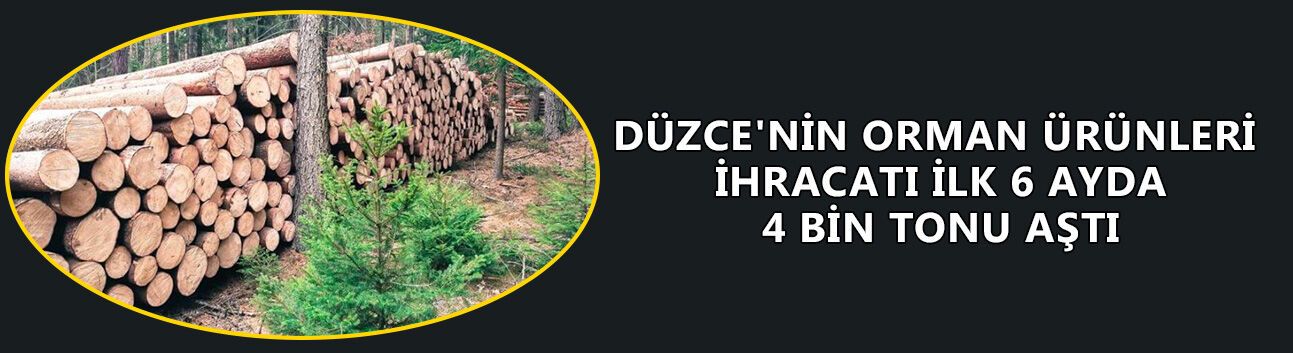 YILIN İLK YARISINDA İHRACAT SÜRERKEN, ORMAN ÜRÜNLERİNDE ARTIŞ HEDEFLENİYOR