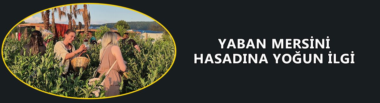 YABAN MERSİNİ TARLASI DOĞAL FOTOĞRAF PLATOSU OLDU