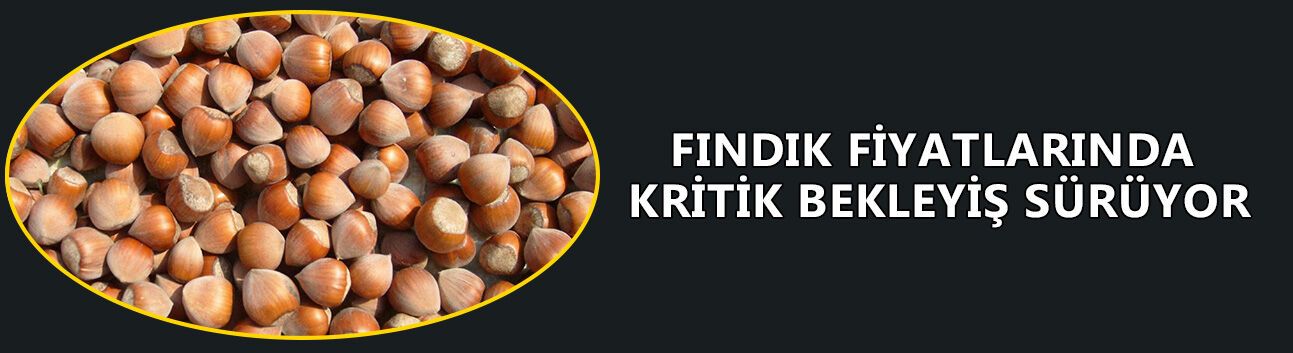 FINDIK FİYATLARINDA KRİTİK BEKLEYİŞ SÜRÜYOR