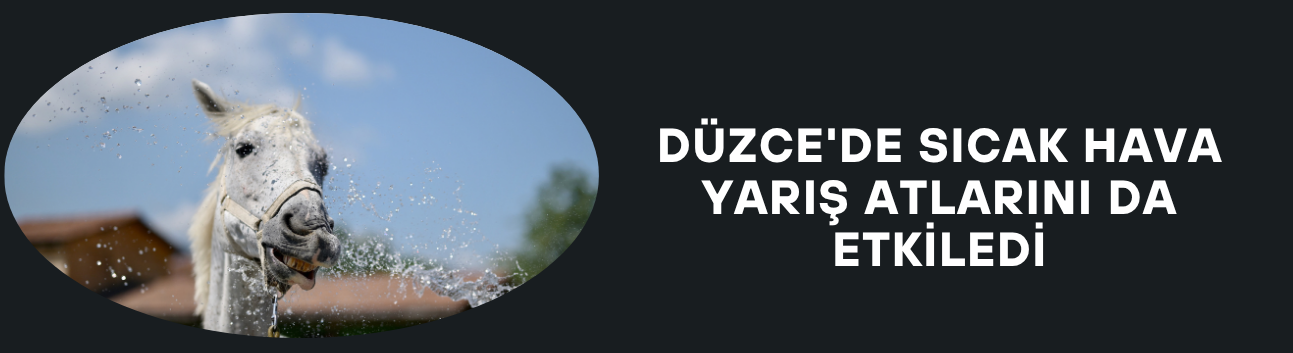 KAVURUCU SICAKTA YARIŞ ATLARI SOĞUK SUYLA SERİNLETİLİYOR