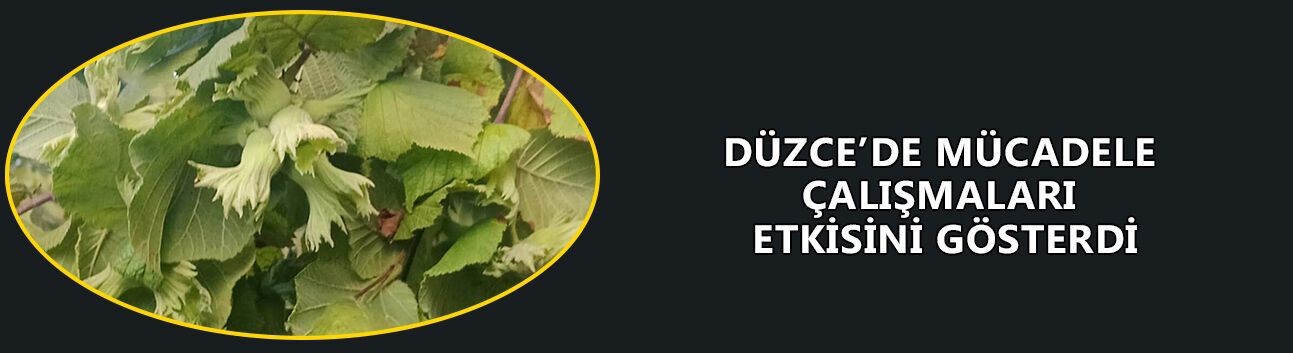 FINDIK ÜRETİCİLERİNE “ÜRÜNÜNÜZÜ ERKEN TOPLAMAYIN” UYARISI