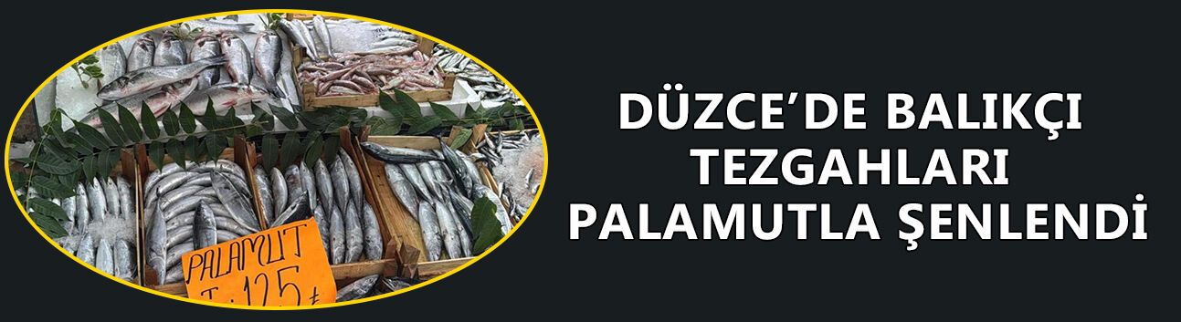 FİYATLARI İSE BALIK SEVERLERİN YÜZÜNÜ GÜLDÜRÜYOR