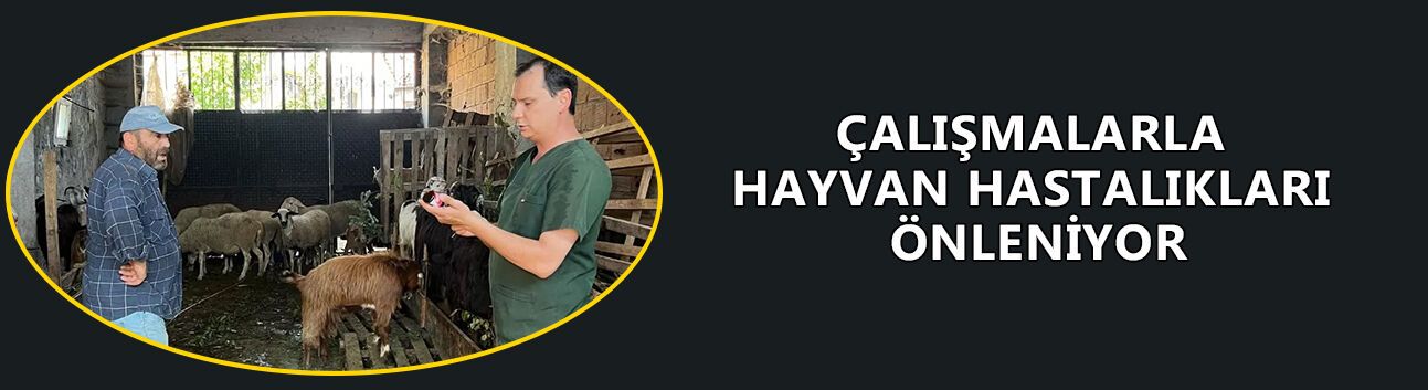 ÇALIŞMALARLA HAYVAN HASTALIKLARI ÖNLENİYOR