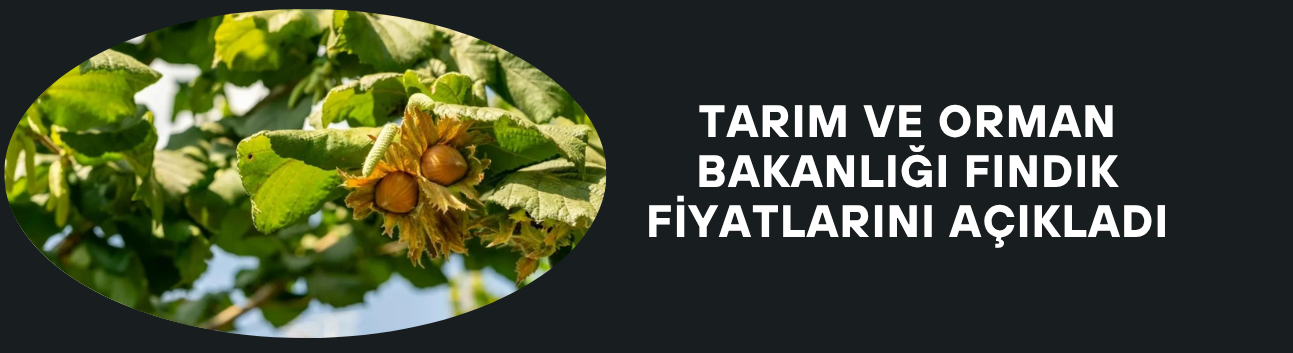TARIM VE ORMAN BAKANLIĞI FINDIK FİYATLARINI AÇIKLADI