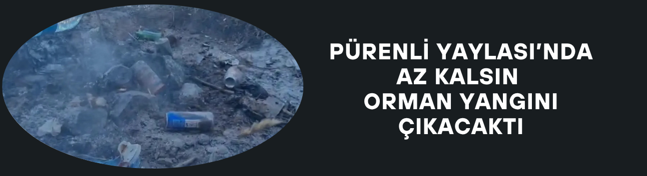 PÜRENLİ YAYLASI’NDA AZ KALSIN ORMAN YANGINI ÇIKACAKTI