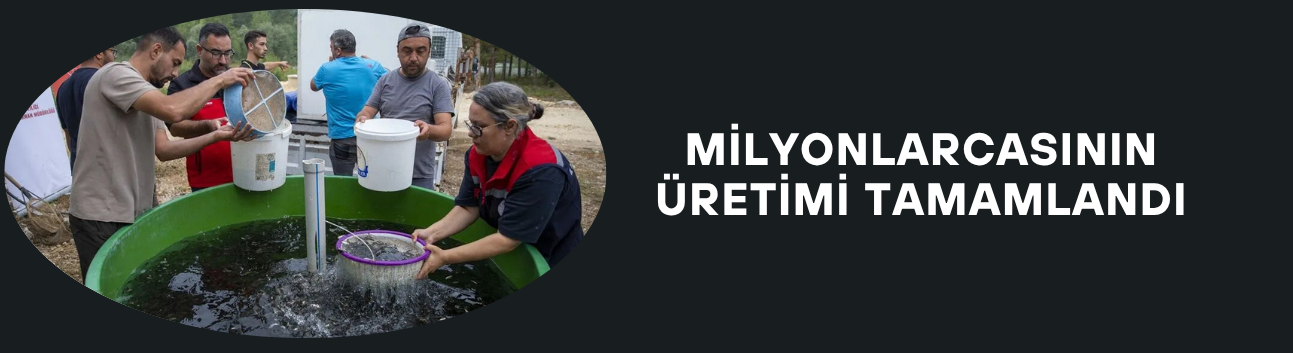 MİLYONLARCASININ ÜRETİMİ TAMAMLANDI