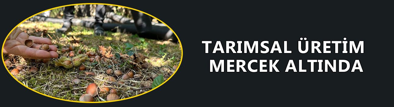 TARIMSAL ÜRETİM MERCEK ALTINDA