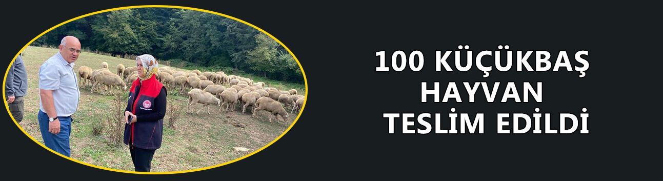 100 KÜÇÜKBAŞ HAYVAN TESLİM EDİLDİ