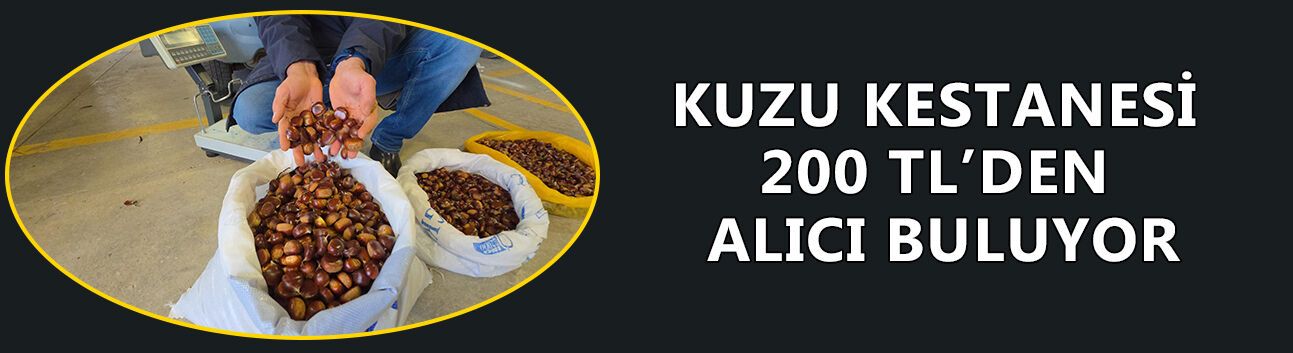 DÜZCE'NİN COĞRAFİ İŞARETLİ KUZU KESTANESİ TEZGAHLARDAKİ YERİNİ ALDI